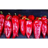 Капстар семена перца сладкого раннего 16-18 см зел./красн (BT Tohum)