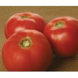 Фалькон семена томата дет. крас. 80-85 дн. (BT Tohum)