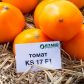 Томат Нуксі (КС 17, KS 17) F1 