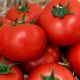 КС 301 F1 (KS 301 F1) семена томата индет. окр.-прип. 180-200г (Kitano Seeds)