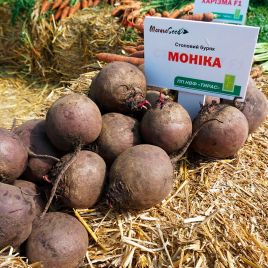 Моника семена свеклы столовой (Moravoseed)