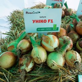 Унико F1 семена лука репчатого (Moravoseed)
