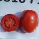 ЖАГ 8810 F1 семена томата дет (Seminis)