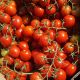 Ахико F1 семена томата дет. черри (Agri Saaten)