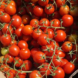 Ахико F1 семена томата дет. черри (Agri Saaten)