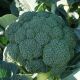 Бесті насіння капусти брокколі (Syngenta)