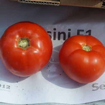 Мирсини F1 семена томата дет. (Seminis)
