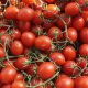 6Пунто7 F1 семена томата дет. черри (Seminis)