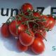 6Пунто7 F1 семена томата дет. черри (Seminis)