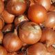 Еленка F1 семена лука репчатого позднего 120-125 дн. (Cora Seeds)