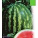 Мелітопольский насіння кавуна середнього 80-85 дн. овал. 4,5-6 кг (GL Seeds)