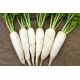 Клык слона семена редьки Дайкон средней 60 см конус. (GL Seeds)