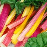 Весняна Веселка суміш насіння мангольду60-70 см (GL Seeds)