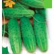 Веселы метелики насіння огірка бджолозап раннього 38-42 дн 8-10 см (GL Seeds)