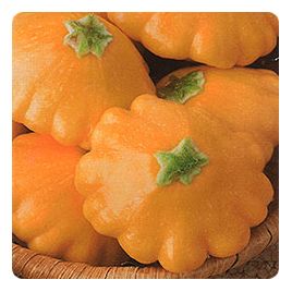 НЛО насіння патісонна раннього 45-50 дн. 300-450 гр. оранж.-желт. (GL Seeds)