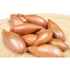 Запорожский семена лука шалот (GL Seeds)