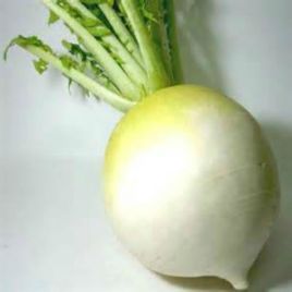 Саша насіння редьки Дайкон ранньої 35-40 дн. 200-400 гр. (GL Seeds)