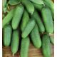 Окрошечка семена огурца партенокарп раннего 37-41 дн 8-85 см (GL Seeds)