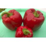 Красный куб F1 семена перца сладкого тип Блочный раннего 105-110 дн 200-250 гр 10х10 см 8-9 мм зел/красн (GL Seeds)