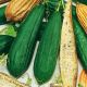 Мочалка насіння люффи (Насіння України)
