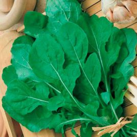 Делікатесна насіння руколи (GL Seeds)