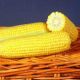 ГСС3071 F1 (GSS3071 F1) семена кукурузы суперсладкой Sh2 (Syngenta)