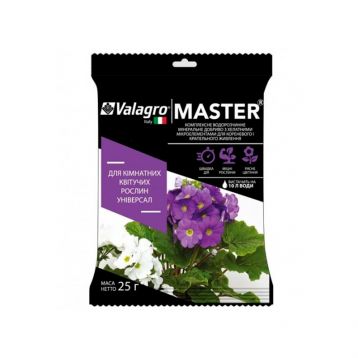 Майстер (MASTER) для кімнатних квітучих добриво (Valagro)