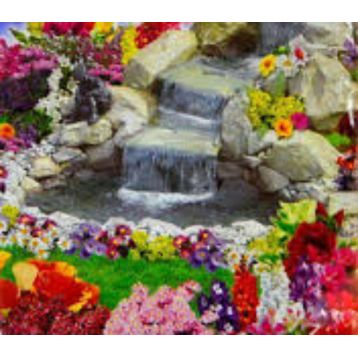 Коттедж Гарден семена цветочной смеси (GL Seeds)