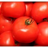 Волгоградский 323 семена томата дет. раннего 95-105 дн. окр. 80-100 гр. (Семена Украины)