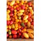 Вишневый коктейль томата индет черри раннего Микс (GL Seeds)
