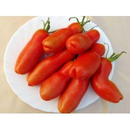Забава семена томата индет среднего 100-150 гр цилиндр 12-17 см (GL Seeds)