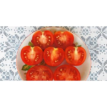 Макс семена томата дет раннего 85-100 дн окр 115-120 гр (GL Seeds)