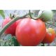 Машенька семена томата индет раннего 92-94 дн окр 400-600 гр (GL Seeds)