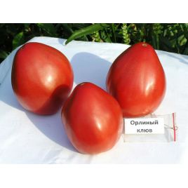 Орлиный клюв семена томата индет среднего сердц 400-600 гр роз (GL Seeds)
