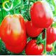 Пузата Хата семена томата индет раннего 107-115 дн ребрист 180-300 гр (GL Seeds)