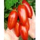 Страусиное яйцо семена томата индет окр-удлин 200-250 гр (GL Seeds)