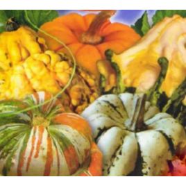 Фаберже семена тыквы мини смесь (GL Seeds)