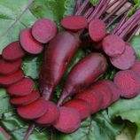 Торпедо семена свеклы столовой ранней 75-100 дн цилиндр 170-320 гр (GL Seeds)