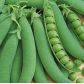Детский восторг семена гороха овощного раннего 43-48 дн 60 см (GL Seeds)