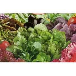 Итальянский вкус семена салата смесь (GL Seeds)