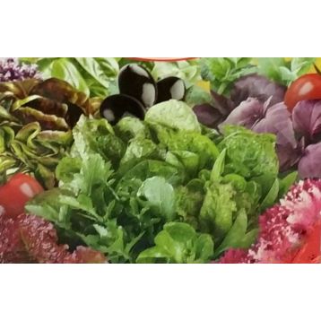 Итальянский вкус семена салата смесь (GL Seeds)