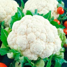 Белая королева семена капусты цветной ранней 60-70 дн. 1,1-1,4 кг бел.(GL Seeds)