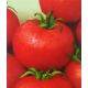 Агата семена томата дет. раннего 105-110 дн. окр. 80-110 гр. (GL Seeds)