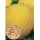 Козачка насіння дині середньої 70-85 дн окр 12-18 кг (GL Seeds)