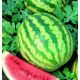 Фотон семена арбуза тип кр.св. раннего 4 кг овал. (GL Seeds)