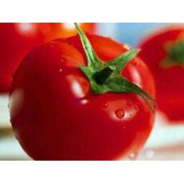 Аризона семена томата дет. среднего 108-112 дн. окр. 100-120 гр. (GL Seeds)