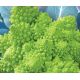 Наталино семена капусты тип Романеско поздней 115-120 дн. 0,8-1,0 кг зел. (GL Seeds)