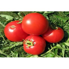 Атлантида семена томата индет среднего окр-припл 350-400 гр (GL Seeds)