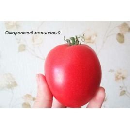 Малиновый Ожаровский семена томата индет раннего окр 150-200 гр роз (GL Seeds)