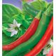 Вестландия семена перца горького среднего 50-70гр. зел./красн. (GL Seeds)
